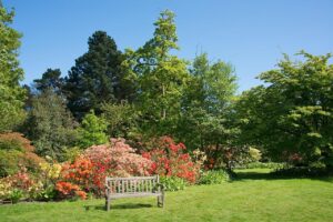 Borde Hill Gardens bench